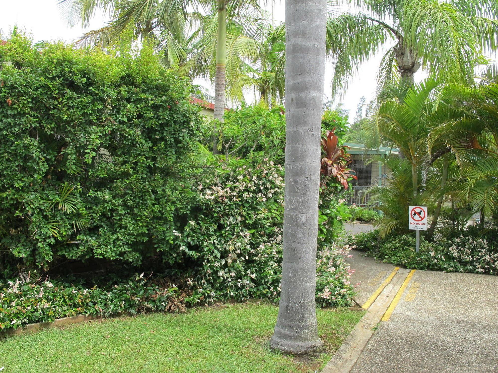 Melaleuca Caravan Park Port Macquarie Exteriér fotografie